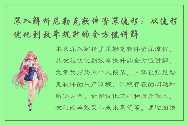 深入解析尼勒克软件资深流程：从流程优化到效率提升的全方位讲解