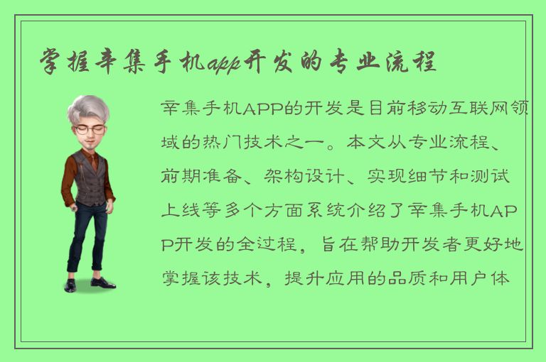 掌握辛集手机app开发的专业流程