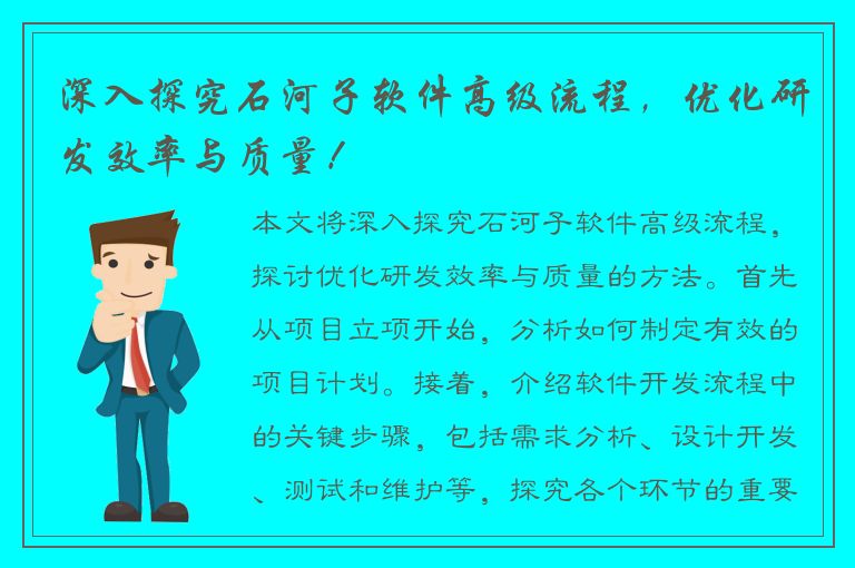 深入探究石河子软件高级流程，优化研发效率与质量！