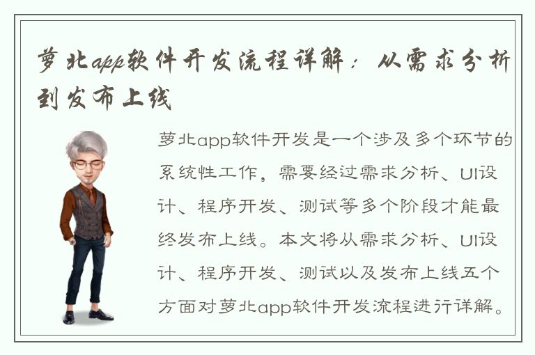 萝北app软件开发流程详解：从需求分析到发布上线