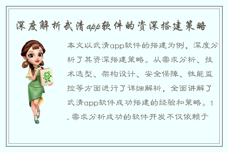 深度解析武清app软件的资深搭建策略