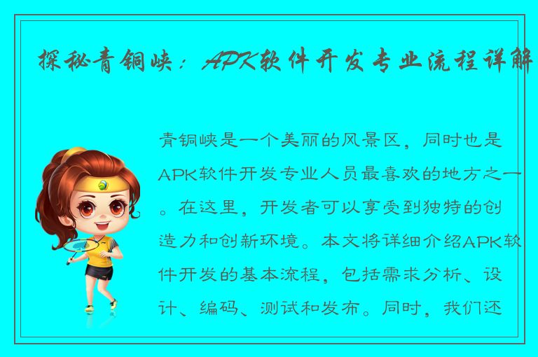 探秘青铜峡：APK软件开发专业流程详解