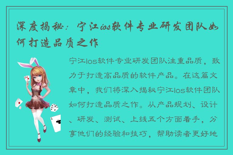 深度揭秘：宁江ios软件专业研发团队如何打造品质之作