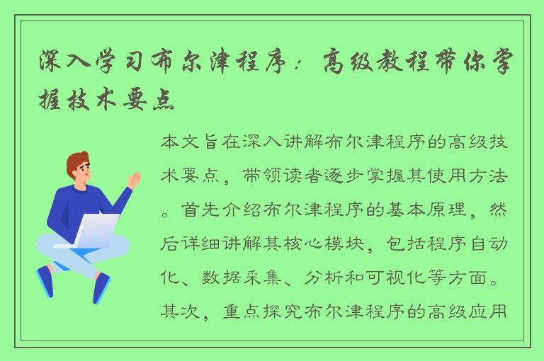 深入学习布尔津程序：高级教程带你掌握技术要点