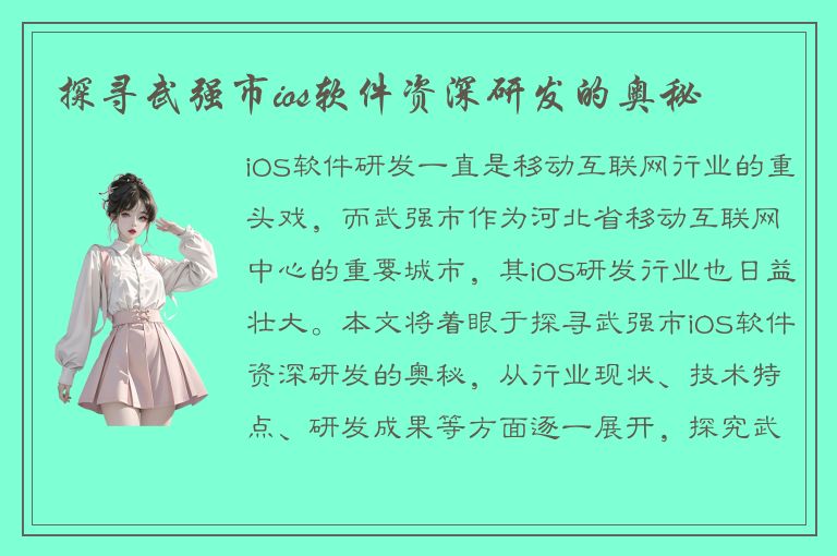 探寻武强市ios软件资深研发的奥秘