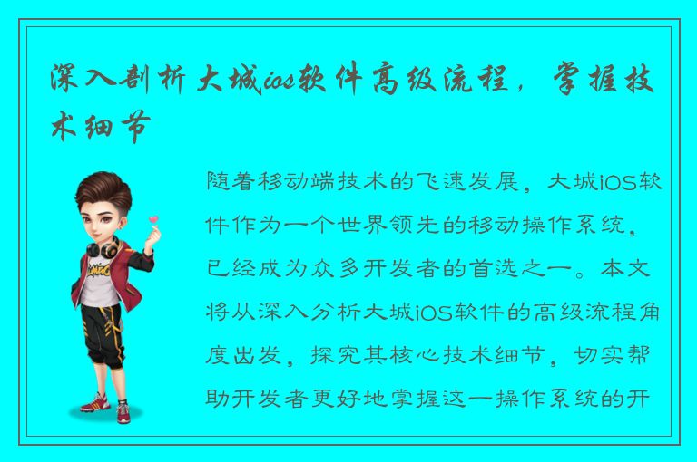 深入剖析大城ios软件高级流程，掌握技术细节