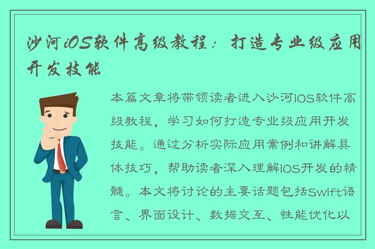 沙河iOS软件高级教程：打造专业级应用开发技能