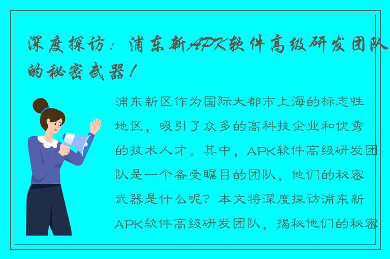 深度探访：浦东新APK软件高级研发团队的秘密武器！