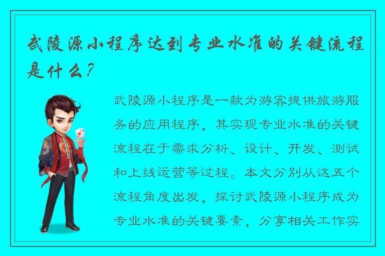 武陵源小程序达到专业水准的关键流程是什么？