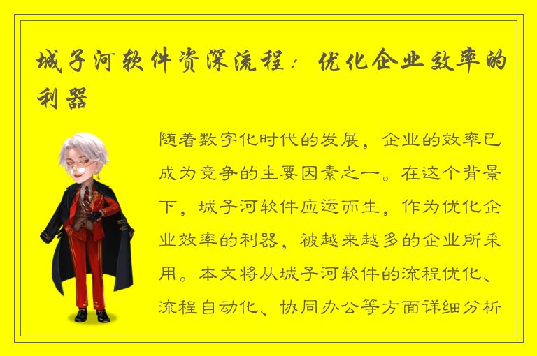 城子河软件资深流程：优化企业效率的利器