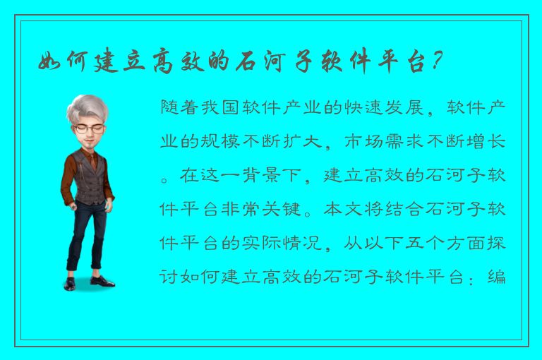 如何建立高效的石河子软件平台？